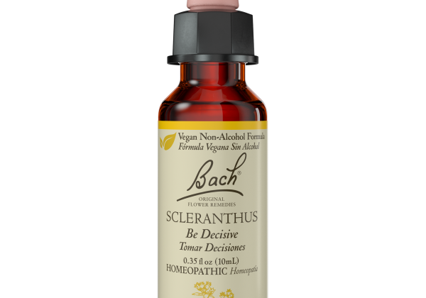 Bach Original Flower Remedies Ready To Go Kit