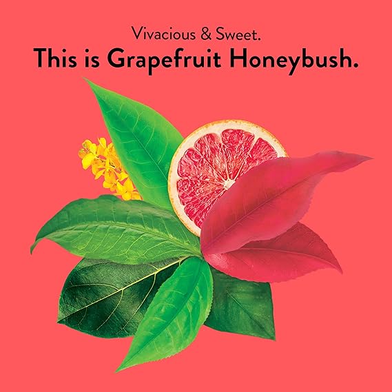 CHOICE ORGANIC TEAS Grapefruit Honeybush Tea 16 BAG