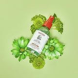 Thayers Witch Hazel Cucumber Watermelon Calming Facial Mist 4 fl oz.