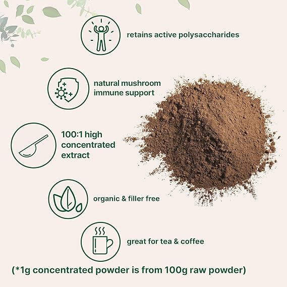 Superfood Mushroom REISHI Powder Extract
