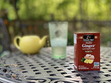BRAVO TEA Absolute Ginger Tea 20 BAG
