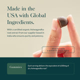 Gaia Herbs Ashwagandha Gummies 45 ct