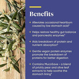 Enzymedica Betaine HCI Fast Acting 60 Capsules