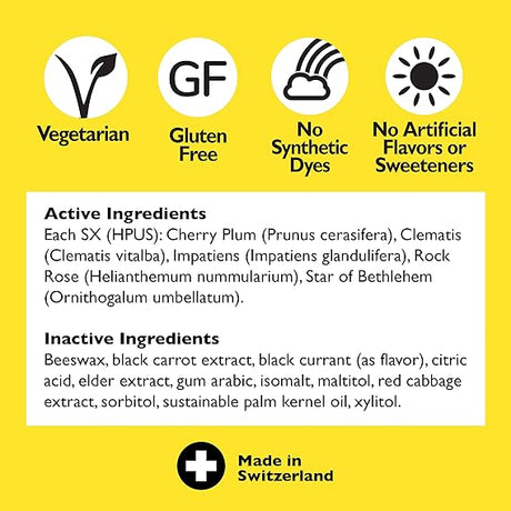 Bach Rescue Pastilles Natural Stress Relief Black Currant Flavor