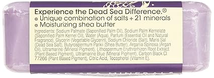 ONE WITH NATUREDEAD SEA MINERAL BAR BLACKBERRY PEAR 7OZ