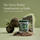 Gaia Herbs Ashwagandha Gummies 45 ct