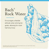 Bach ROCK WATER Flexible Mind