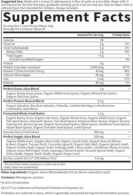 Garden of Life Perfect Food 300g POWDER