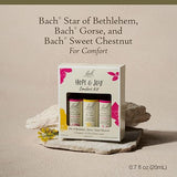 Bach Original Flower Remedies Hope & Joy Kit