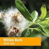 Herb Pharm WILLOW BARK EXTRACT 1 oz