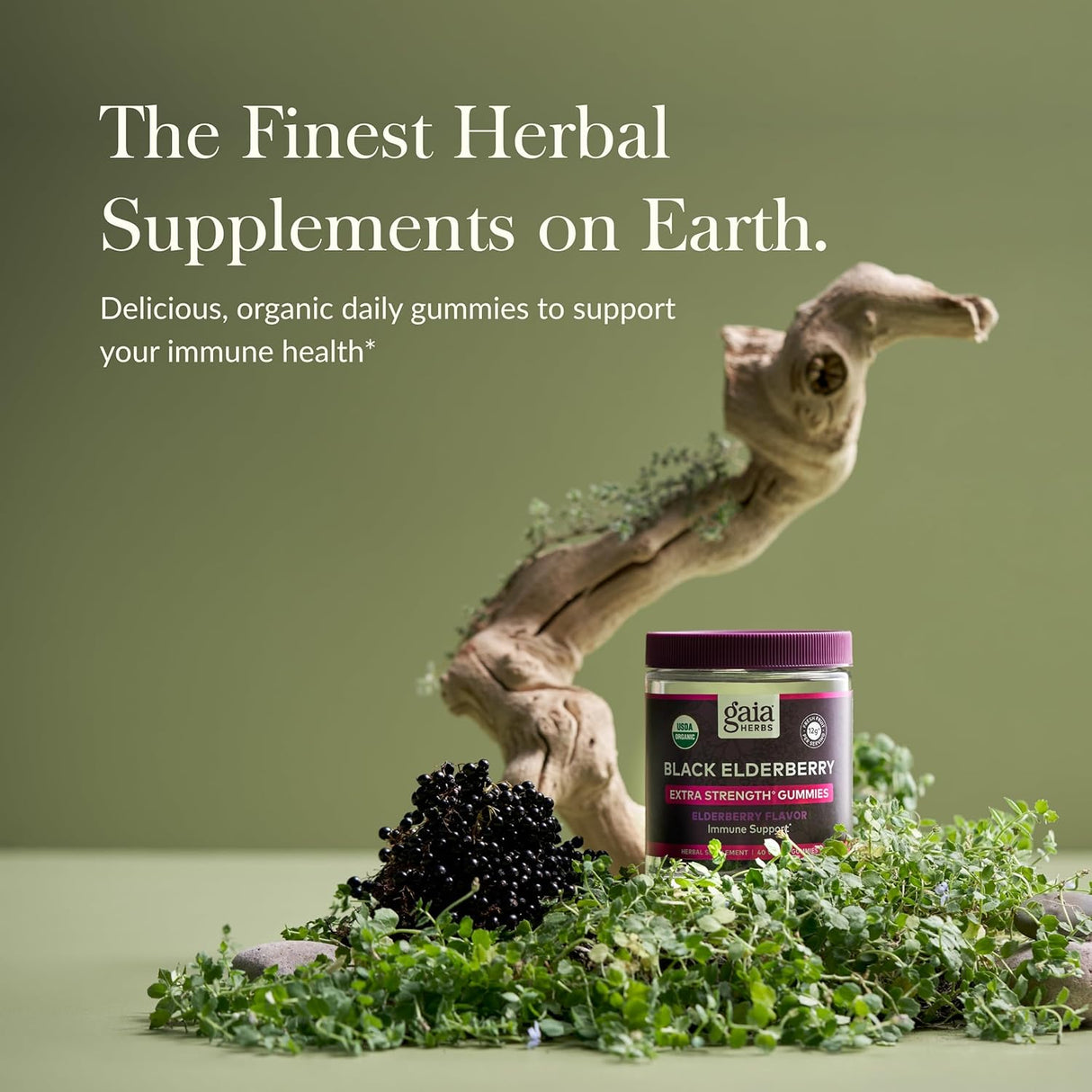 Gaia Herbs Black Elderberry Extra Strength Gummies (COG) 40 ct