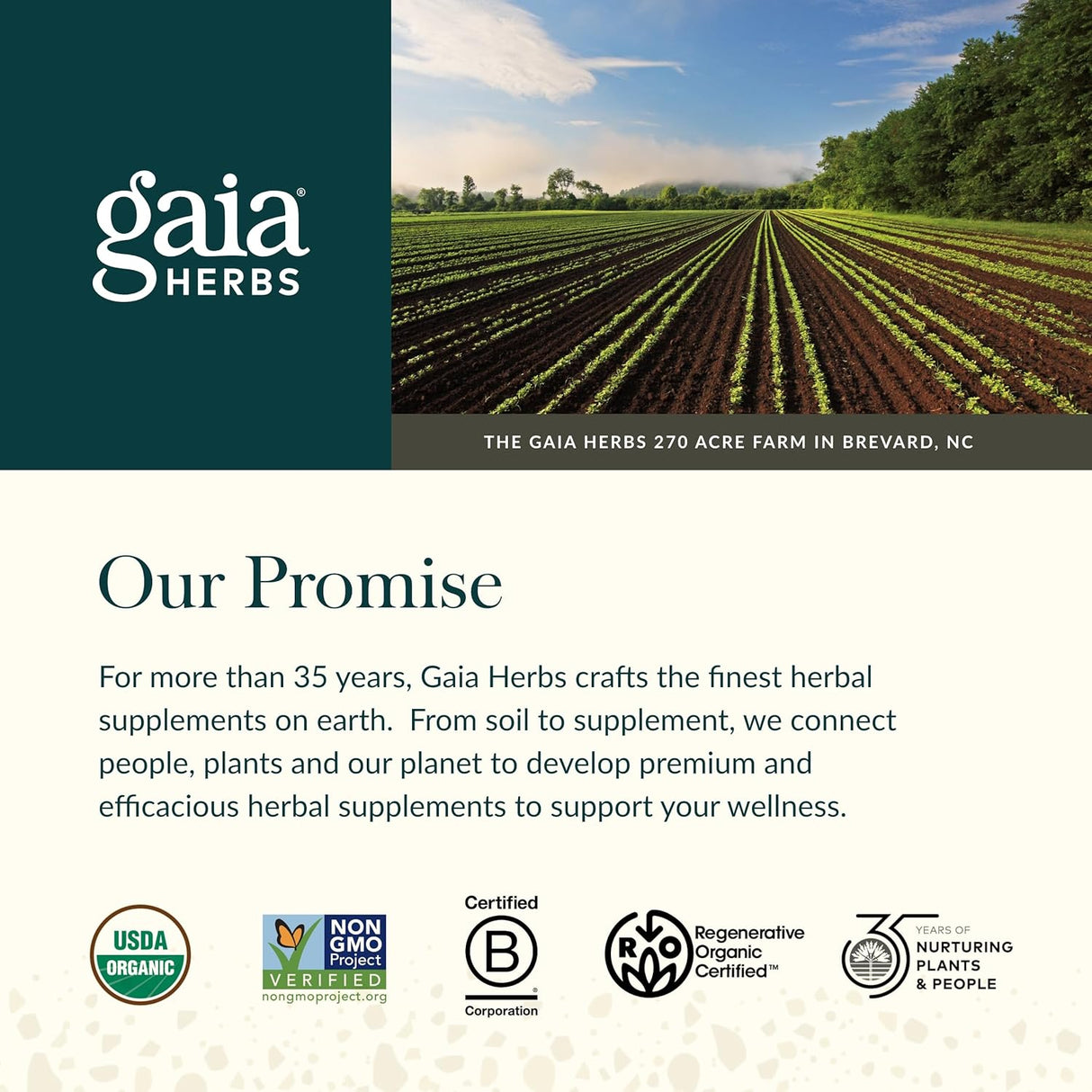 Gaia Herbs Ashwagandha Gummies 45 ct
