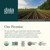 Gaia Herbs Ashwagandha Gummies 45 ct