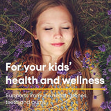 Natural Factors VITAMIN C 500 MG FRUIT-FLAVOR CHEW – TROPICAL 90/TAB