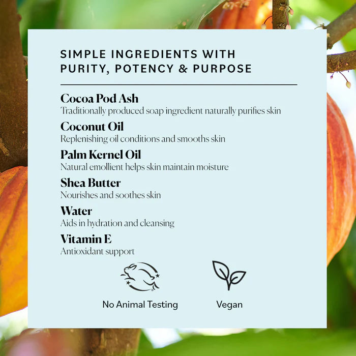 SKY ORGANICS AFRICAN BLACK SOAP 16OZ