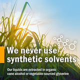 Herb Pharm SAW PALMETTO EXTRACT 1 oz