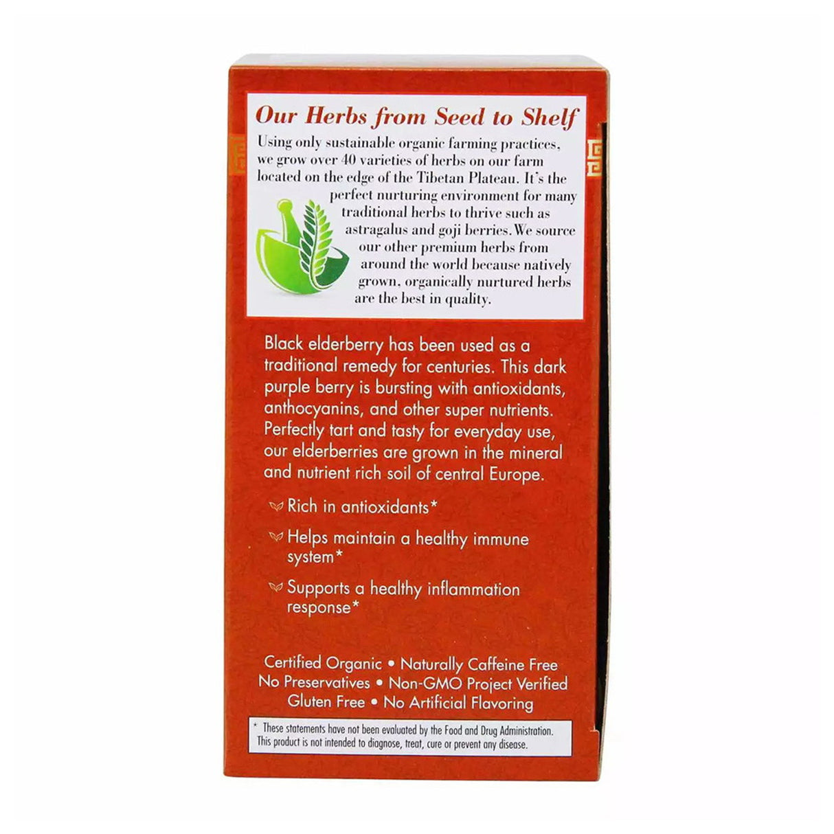 BRAVO TEA Absolute Elderberry Tea 20 BAG