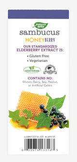 Nature's Way Sambucus® Kids HoneyBerry™ NightTime Cough Syrup TBD 4 Fl Oz