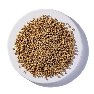 CORIANDER SEED ORGANIC