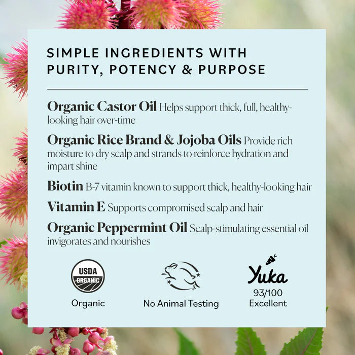 Sky Organics GroPotion All In One Scalp and Hair Treatment - 6.0 fl oz