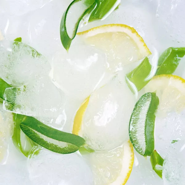 LILY OF THE DESERT ALOE VERA JUICE WHOLE LEAF 64OZ