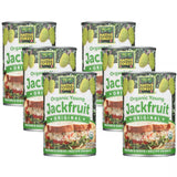 NATIVE FOREST Young Jackfruit 14 OZ