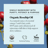 SKY ORGANICS ORGANIC ROSEHIP OIL 1OZ