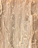 OLIVELLA FACE AND BODY BAR RAW FRAGRANCE FREE 3.52 OZ