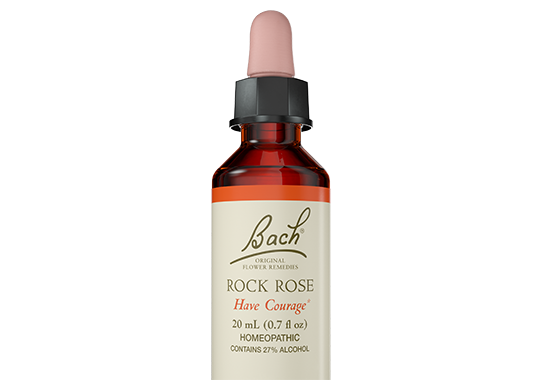 Bach ROCK ROSE Have Change