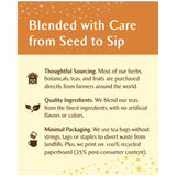 Sweet Harvest Pumpkin Herbal Tea