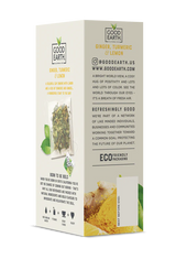 GOOD EARTH TEAS Sensorials Tumeric Lemon 15 BAG