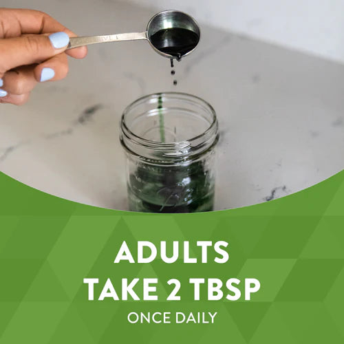 Nature's Way Chlorofresh® Liquid Chlorophyll Mint Flavor 16 Fl Oz