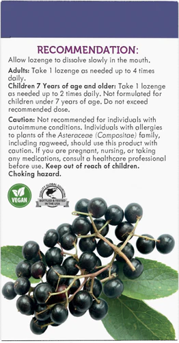 Nature's Way Sambucus Immune Lozenge 30 Loz