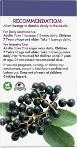 Nature's Way Sambucus Original Lozenge 30 Loz