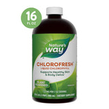 Nature's Way Chlorofresh® Liquid Chlorophyll Mint Flavor 16 Fl Oz