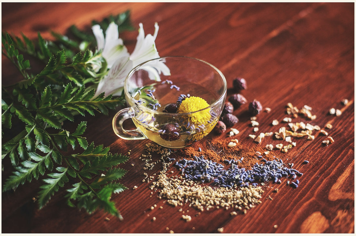 A cup of herbal tea surrounded by dried herbs and seeds
