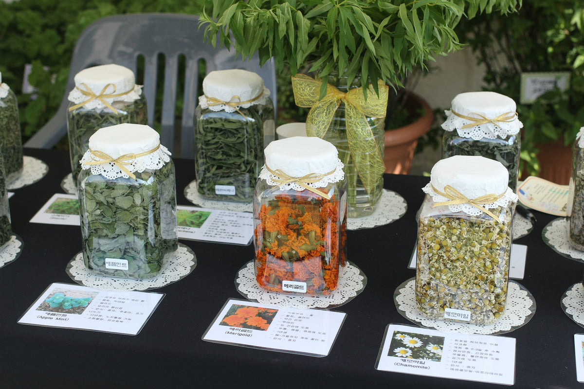 Glass jars of dried herbs and flowers on a table