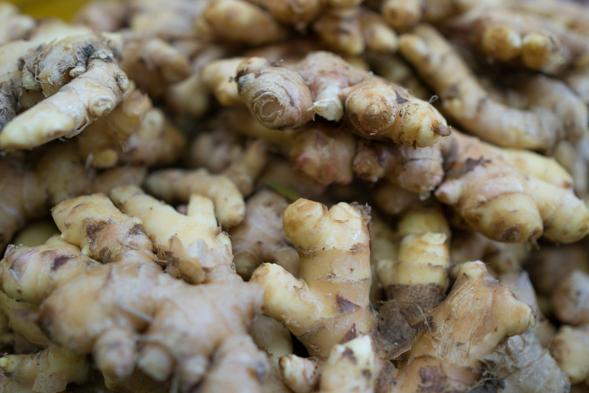 Fresh ginger roots