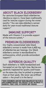 Nature's Way Sambucus Original Lozenge 30 Loz